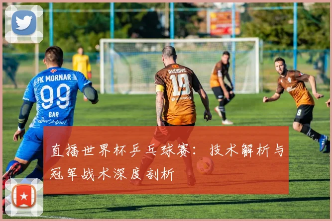 直播世界杯乒乓球赛：技术解析与冠军战术深度剖析