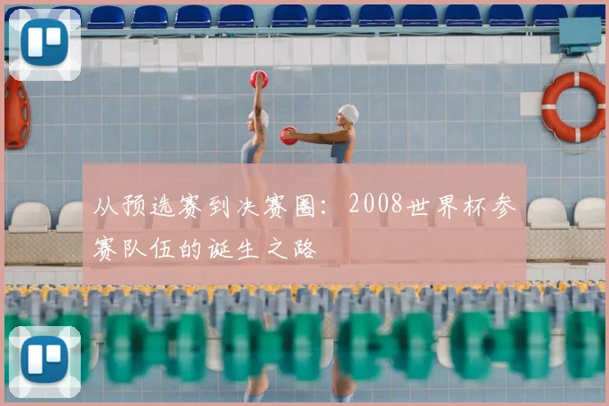 从预选赛到决赛圈：2008世界杯参赛队伍的诞生之路