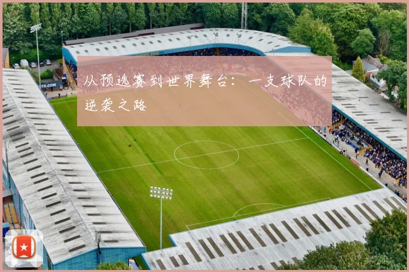 从预选赛到世界舞台：一支球队的逆袭之路