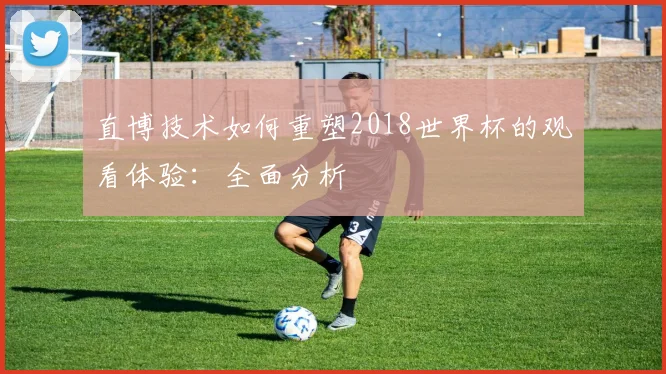 直博技术如何重塑2018世界杯的观看体验：全面分析