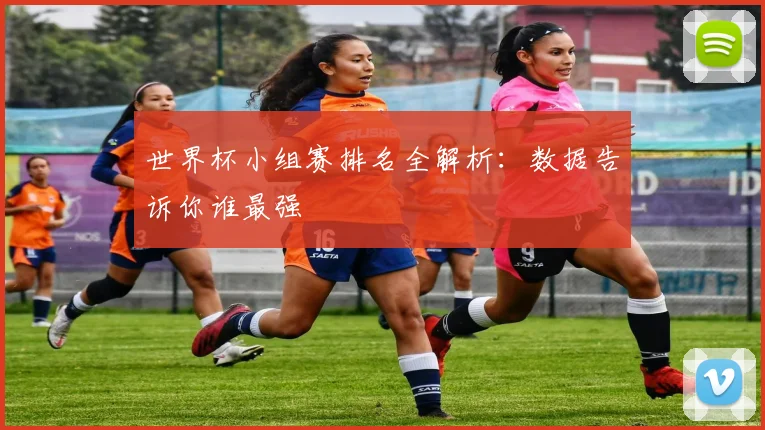 世界杯小组赛排名全解析:数据告诉你谁最强