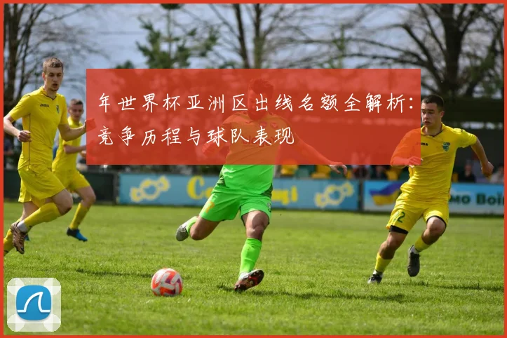 年世界杯亚洲区出线名额全解析:竞争历程与球队表现