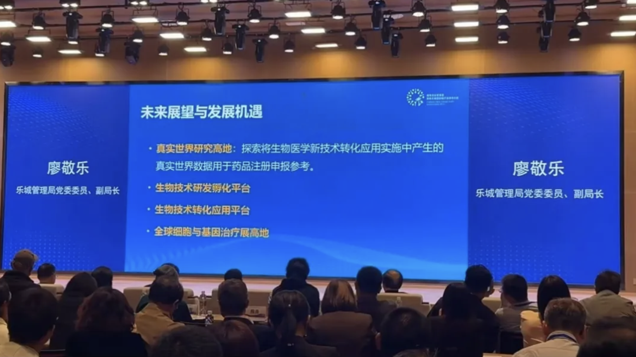 1743042082134626.png image.png