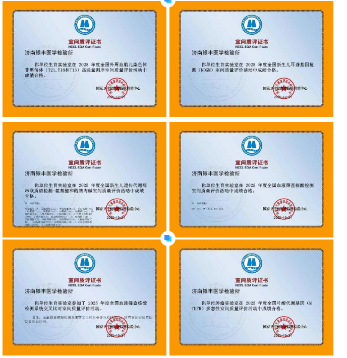 1774234276915567.png 333.png