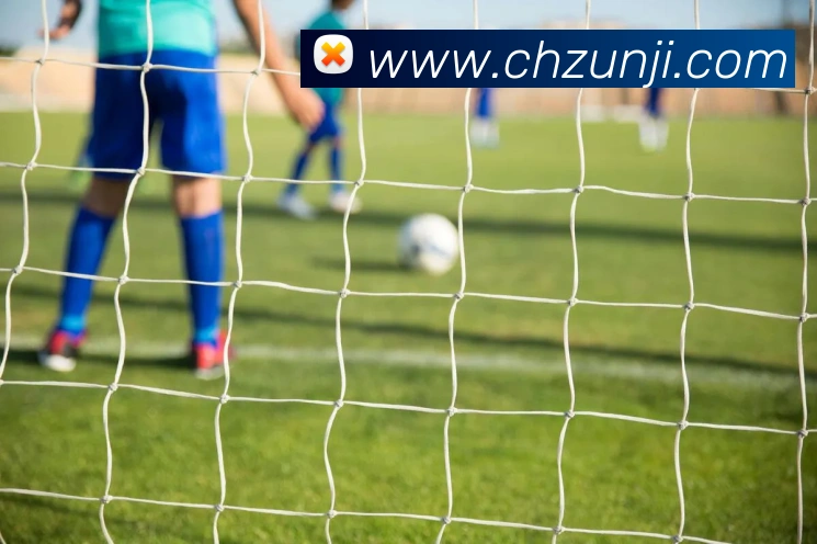 米兰体育app官网登录品牌故事